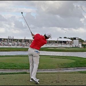 Meet your Posher, Curtis